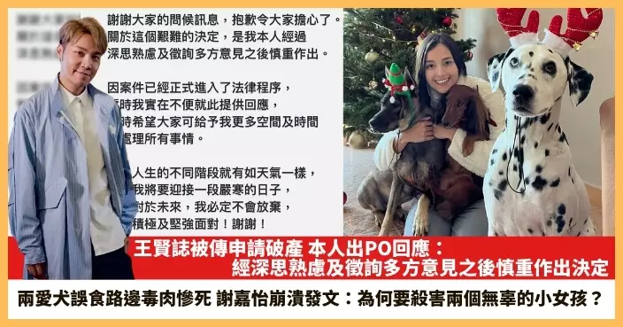 【2024.12.17娛圈熱點】王賢誌被傳申請破產 謝嘉怡兩愛犬誤食路邊毒肉慘死