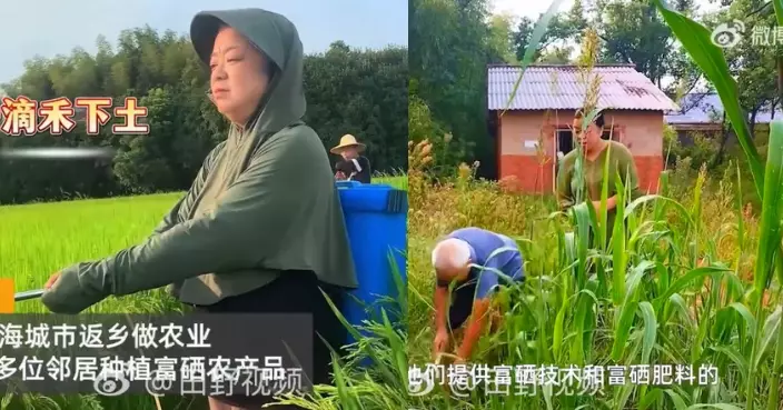 從深圳返鄉創業 湖南婦女帶百名鄉親種植「富硒」農產品實現財富增收