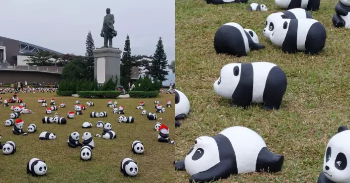 聖誕Look大熊貓雕塑中山紀念公園登場 一連兩日與市民遊客齊賀佳節