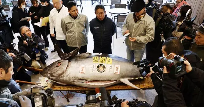 豐洲市場新年吞拿魚王拍賣 2.07億日圓成交歷來第二高