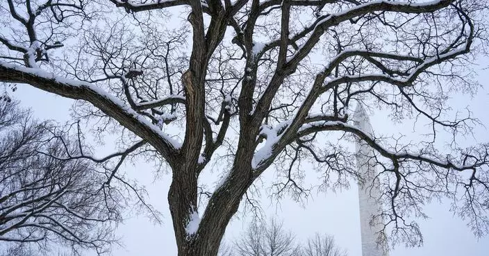 美國中西及東部持續受暴風雪吹襲 據報至少6人死亡