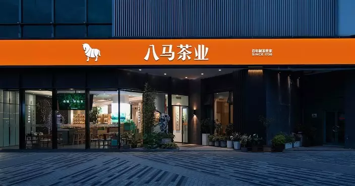 4新股今首掛 八馬茶業1手中籤率最低僅0.8% 滴普科技超購倍數最高近7569倍