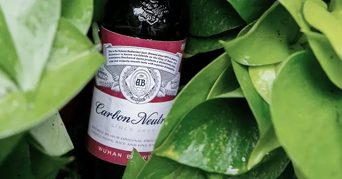 百威亞太去年純利降逾32% 明言中國業績未盡潛能 維持末期息每股5.66美仙