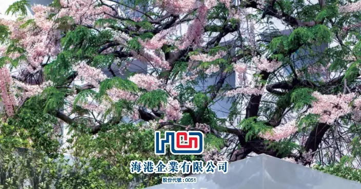 海港基礎盈利8300萬元虧轉盈  派息5仙