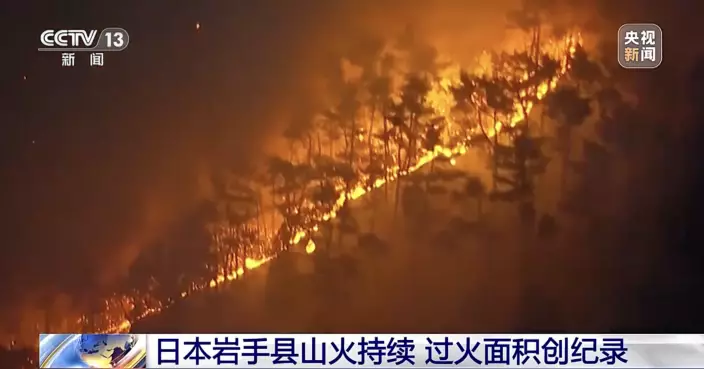 日本岩手縣山火燃燒4日　火場面積繼續擴大