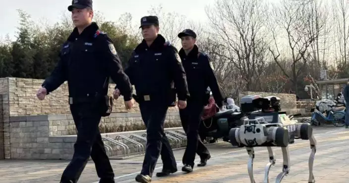 北京公園驚現「機械警犬巡邏」！與無人駕駛車協同打造智能安保新時代