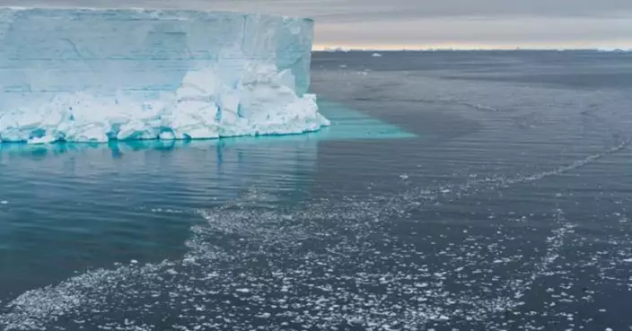 510平方公里冰山崩解瞬間！科學家直擊南極深海驚現神秘生態系