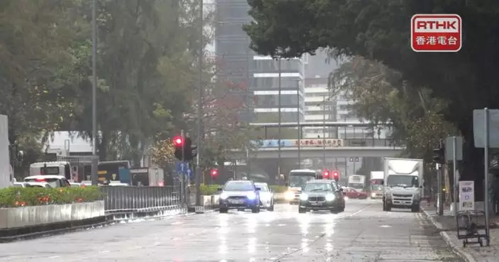 天文台下午一度發出今年首個黃雨警告　大埔有冰雹報告