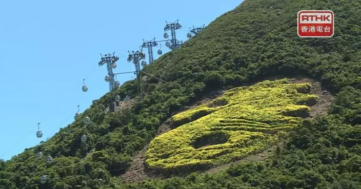 海洋公園登山纜車訊號問題暫停海洋列車正年檢　山上高峰樂園停開
