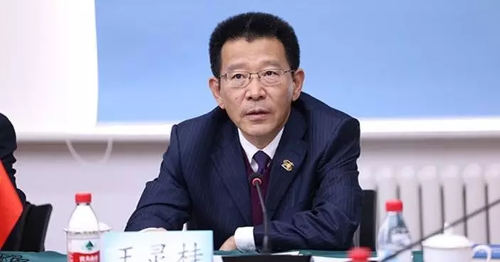 已任中國僑聯主席 王靈桂被免去國務院港澳辦副主任職位