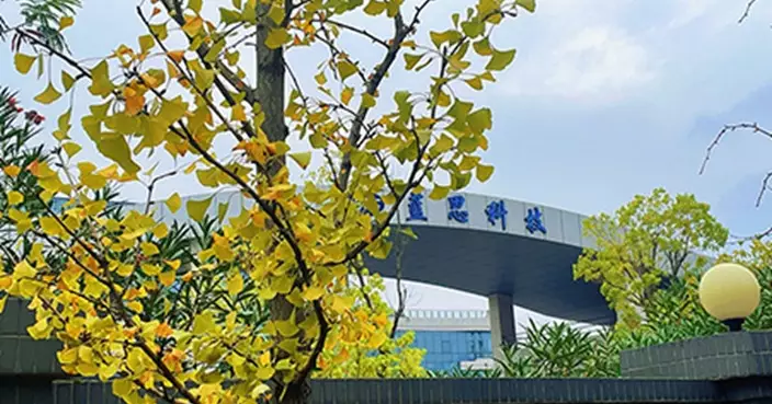 藍思、峰岹IPO齊以上限定價 股份明掛牌