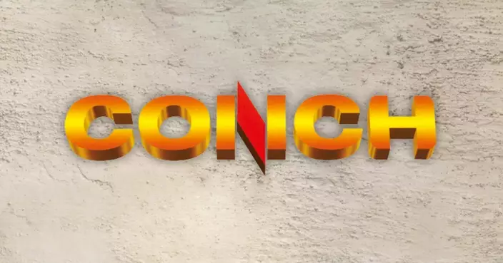 海螺水泥控股股東擬6個月內斥不多於14億元人幣增持A股