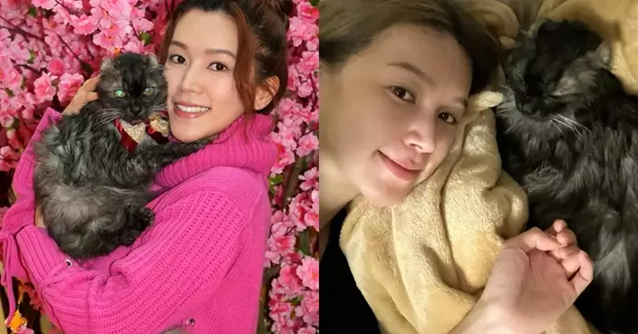傅嘉莉貼出與愛貓BeBe溫馨互動相  珍惜相伴日子