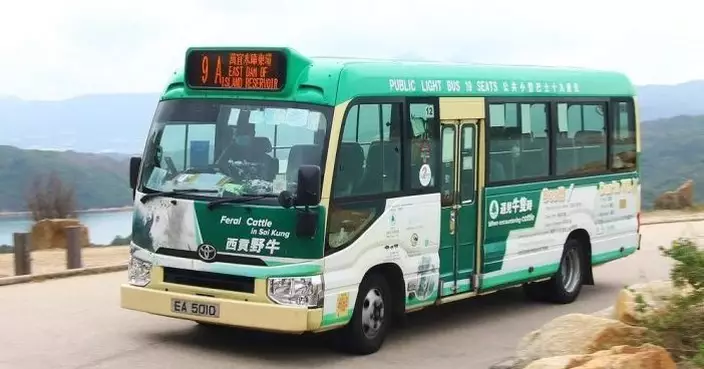 東壩專線小巴加強服務黃金周首日「車等人」 小巴公司冀十一黃金周沿用安排
