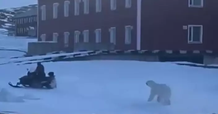 驚險!戶外撞上北極熊 挪威男開槍嚇退無果急跳雪地電單車逃命