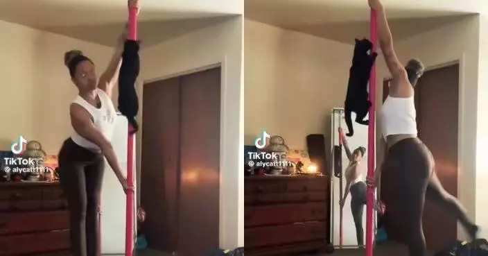 睇主人練舞偷師   黑貓大騷鋼管舞技爆笑畫面曝光