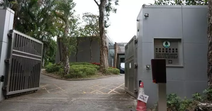漁護署全港唯一政府獸醫化驗所 年做30萬次測試助驗離世大熊貓