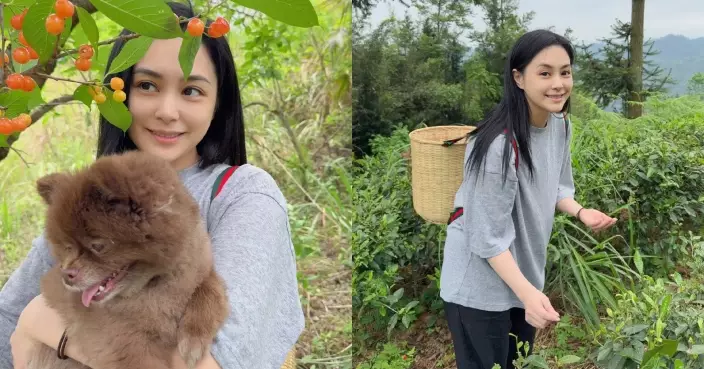鍾欣潼趁放假帶愛犬自駕遊 全素顏加打扮樸素依然靚爆鏡