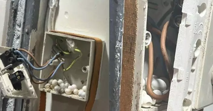 港女驚見電掣內藏逾20隻不明白蛋 網民：清潔工嚟，留返粒畀我！