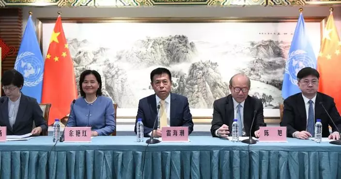 代表團稱中國衞生健康事業成就巨大 符合一中原則涉台交流能順利進行