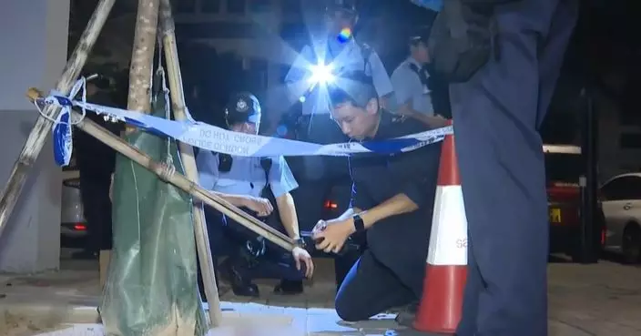 灣仔發現一隻被剝走頭部及雙腳雀鳥屍體 警列殘酷對待動物處理