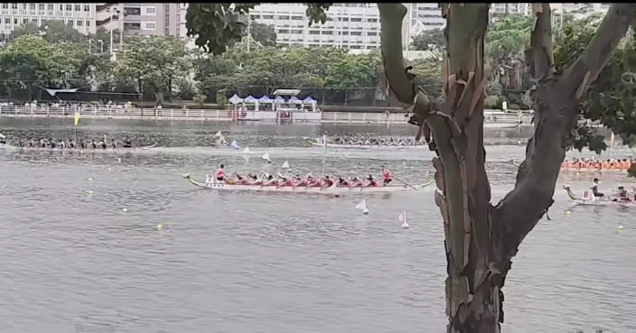 全港多區龍舟競渡賀端午　市民遊客興奮體驗中國傳統習俗