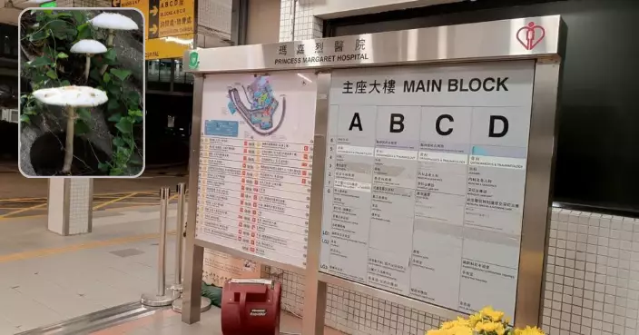 疑進食野生菇類中毒 6歲女童腹痛嘔吐需留醫