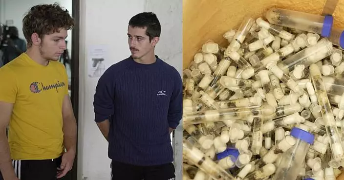 養蟻日益盛行 肯尼亞逮捕兩名比利時青年涉走私5000隻螞蟻