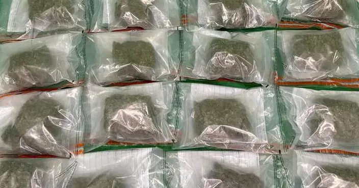 兩男女曼谷抵港行李涉藏毒 海關檢大麻花市值190萬元