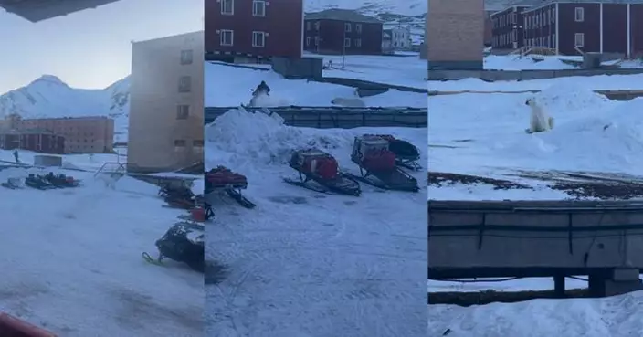 有片!北極熊槍聲都唔驚 挪威男遭狂追急騎雪地電單車逃脫保命
