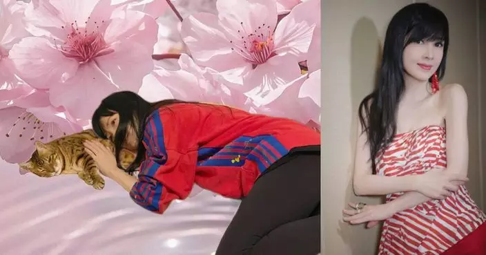 周慧敏晒「吸貓」日常 與愛貓豬皮溫馨互動 網民:女神變貓奴!