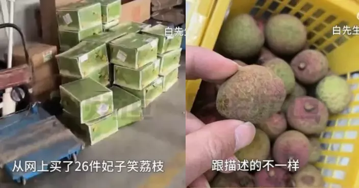 8歲仔網購26箱「妃子笑」荔枝 山東父申請退款遭拒拆箱後卻有望獲賠3倍？