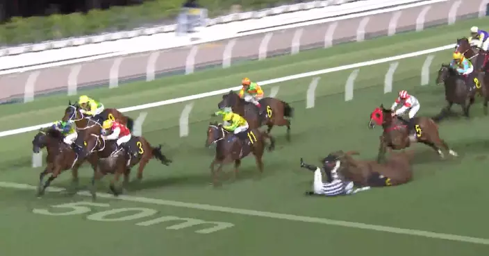 跑馬地賽馬第5場3騎師墮馬 賽馬「四季醒」嚴重骨裂未能救回