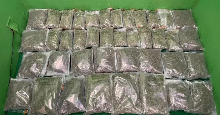 海關截查35歲抵港男旅客 寄艙行李內檢值320萬大麻花　