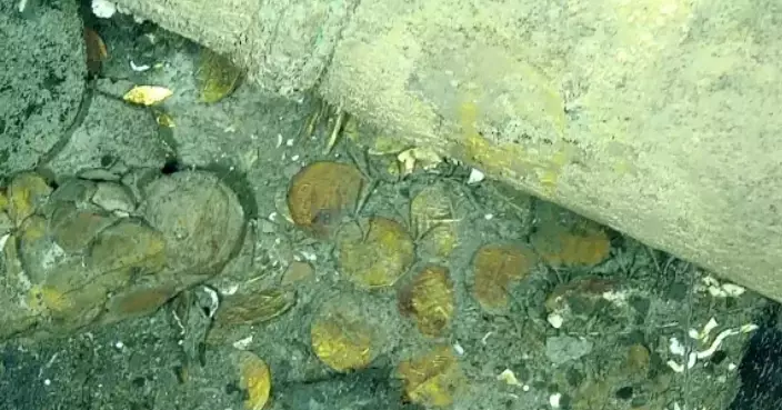 海底驚現設計精緻金幣寶藏 疑屬300年前西班牙「聖荷西號」沉船