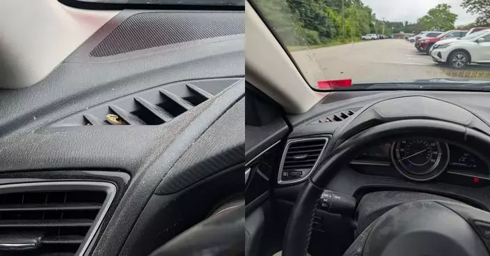 汽車引擎變蛇竇 蛇隻毫無懼色不時探頭挑釁與車主互望
