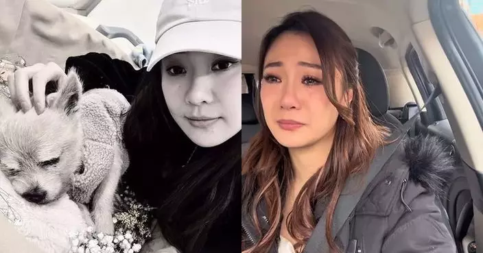 朱智賢走出愛犬離世陰霾 含淚拍片承諾繼續帶歡樂給粉絲