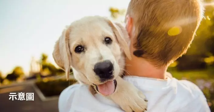 寵物越養越似自己？ 研究：飼主與愛犬常撞臉有科學依據