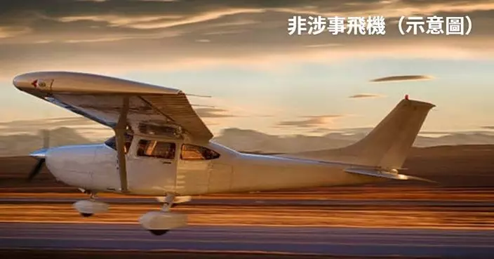 美小型飛機失事2死1傷 疑為避跑道上烏龜釀大禍
