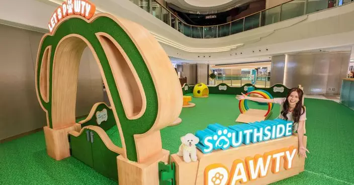 港島南區「期間限定」室內貓狗樂園正式開幕  9大貓狗友善設施全面升級