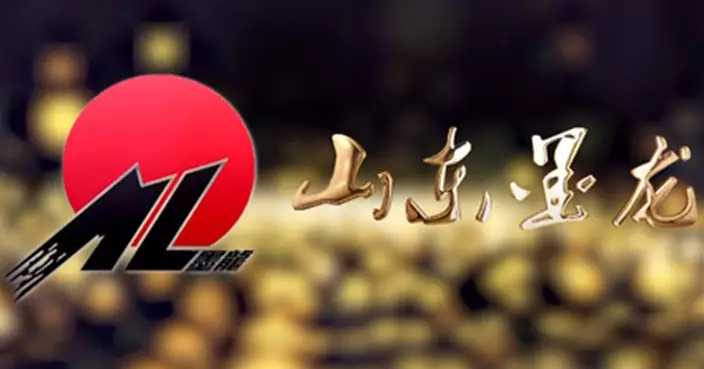 山東墨龍預期去年扭虧為盈 賺最少400萬元人幣