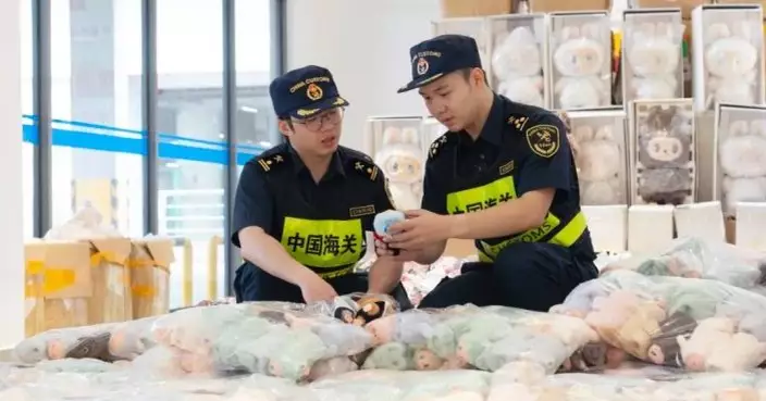 海關總署教分辨真假「Labubu」：山寨版或缺1、2隻牙