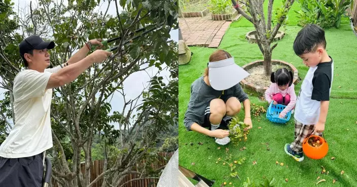 羅子溢一家四口摘黃皮享天倫樂 楊茜堯報喜宣布家有新成員