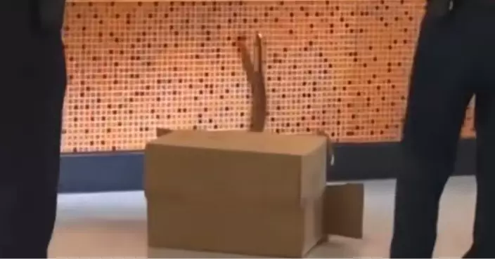 港鐵啟德站現蛇蹤 1.5米長水律蛇被蛇王捕捉後放生　