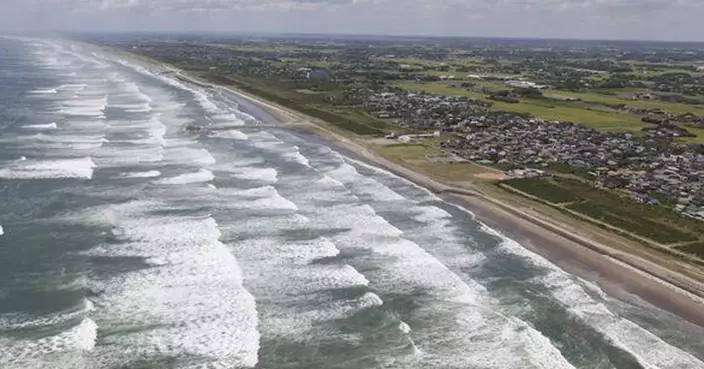 俄羅斯8.8強震引爆海嘯！日本驚現4鯨擱淺 網瘋傳「地震前兆」專家急澄清