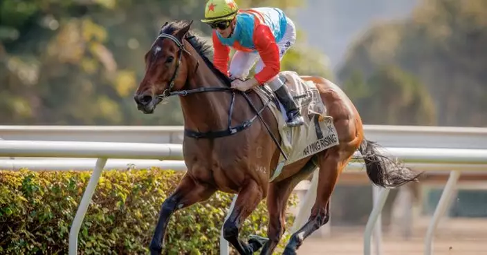 「嘉應高昇」榮登香港馬王　「浪漫勇士」四度榮膺最佳中距離馬