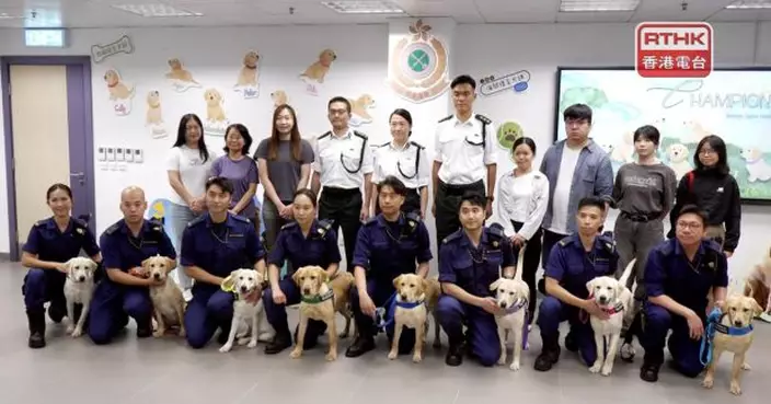 海關邀市民為8隻搜查犬幼犬命名　得獎人獲安排與幼犬見面