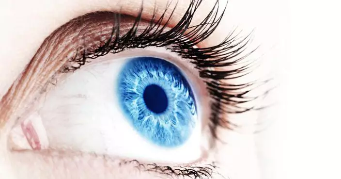 成日睇手機眼矇矇？營養師教「3餐護眼法」補足營養助重拾清晰視力