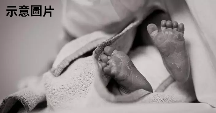 疑被煙花聲嚇親 英XL型惡霸犬失控發狂咬死飼主9個月仔