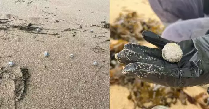 澳海灘現蹤神秘「灰色球體」 當局正檢驗成分籲市民勿觸碰